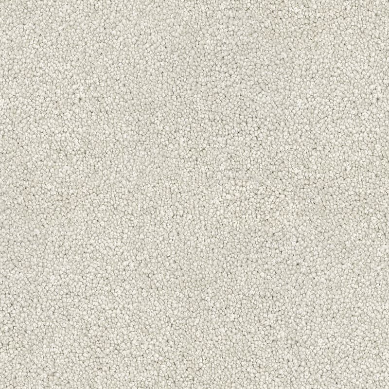 Barossa in Ivory - Carpet flooring sample