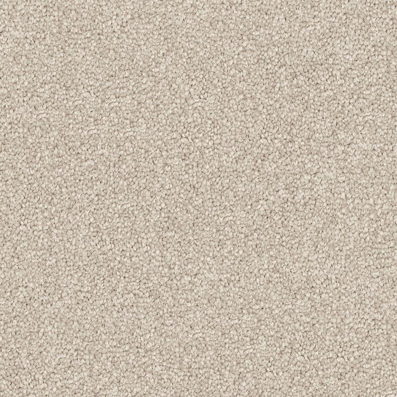 Sand Dune