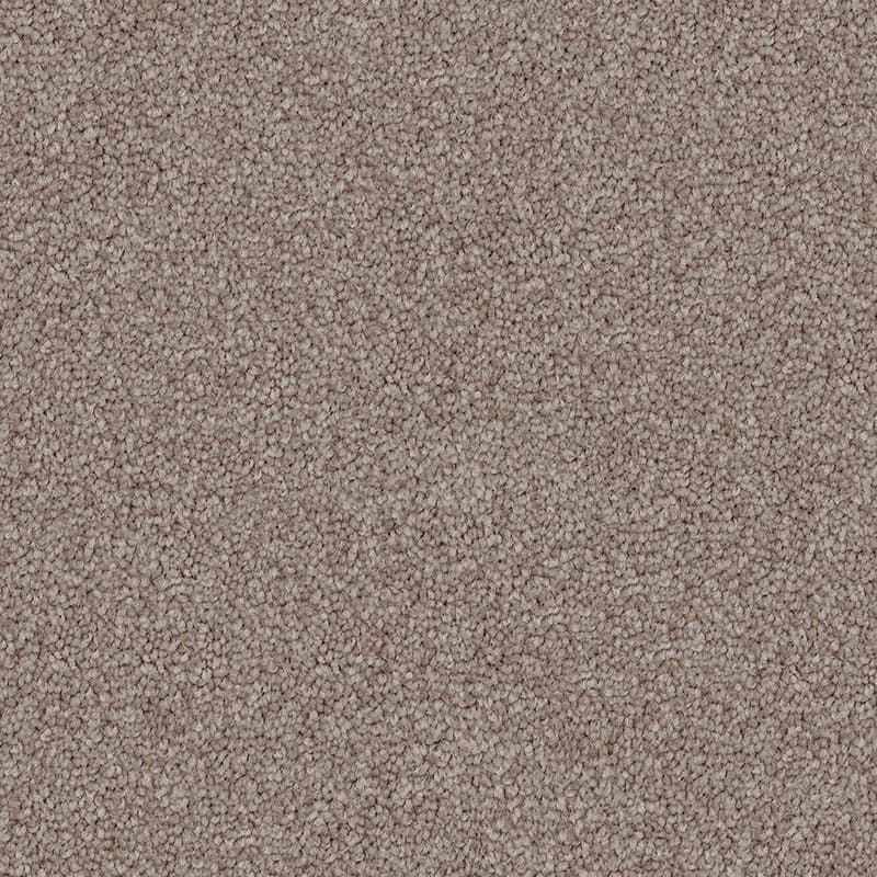 Soft Suede