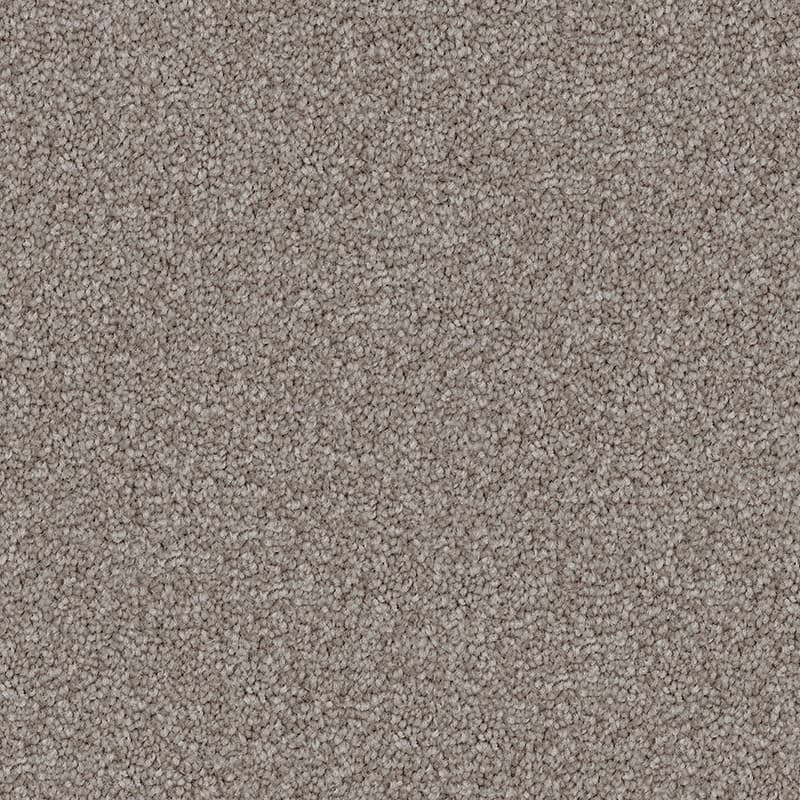 Studio Stipple