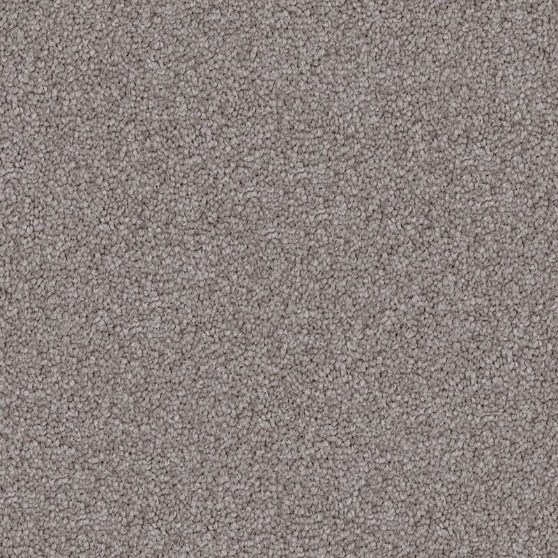 Temple Grey