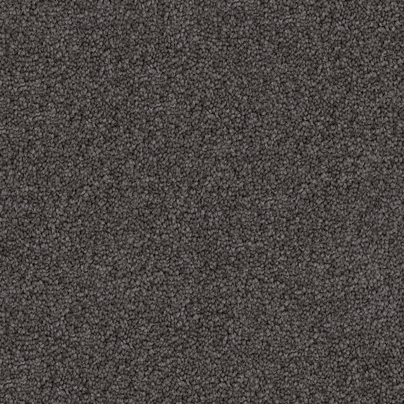 Woodstock Stipple