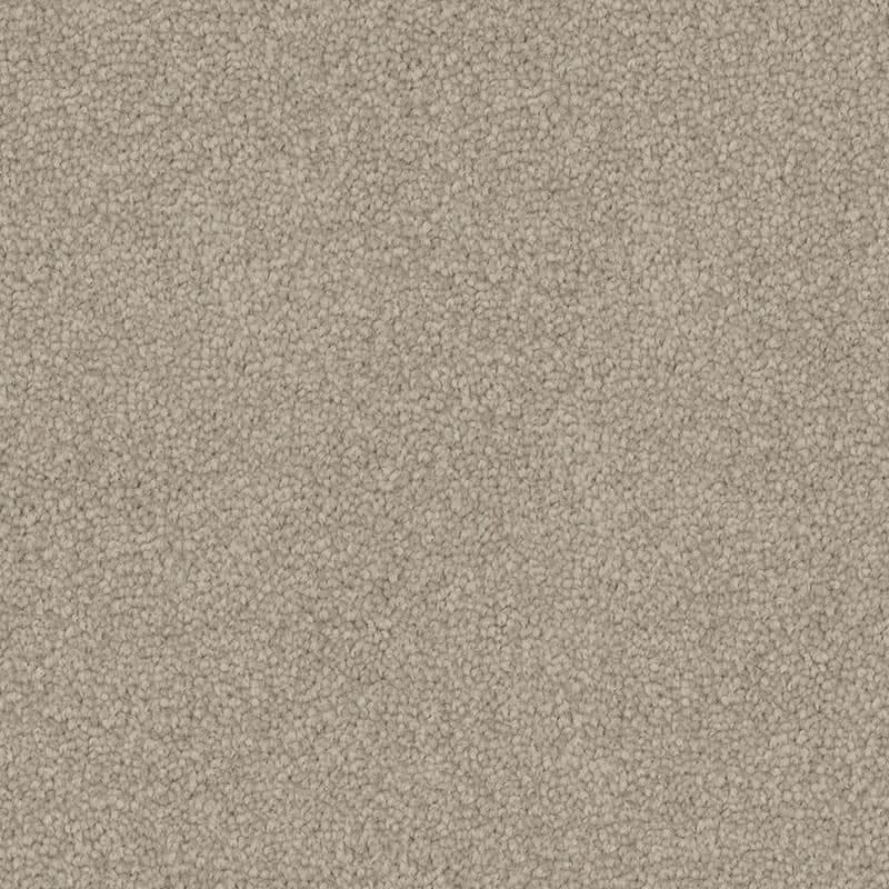 Aged Suede
