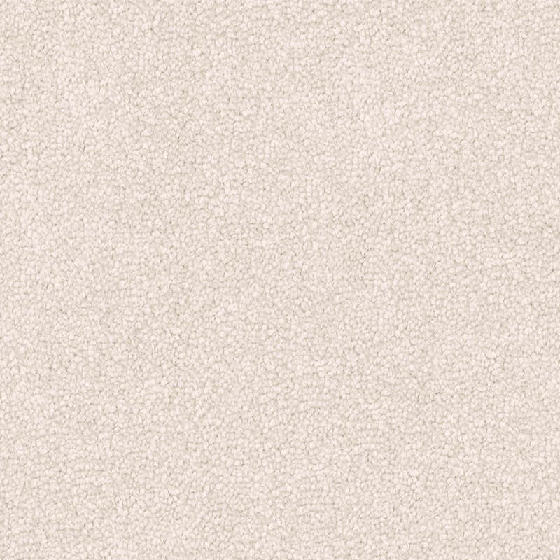 Infatuation in Casa Blanca - Carpet flooring sample