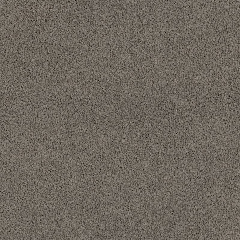 Lasting Touch in Tinker - Carpet flooring sample