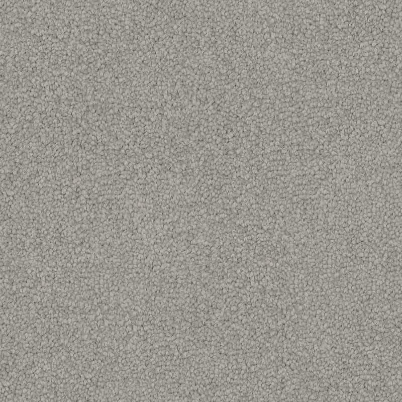 Grey Haze
