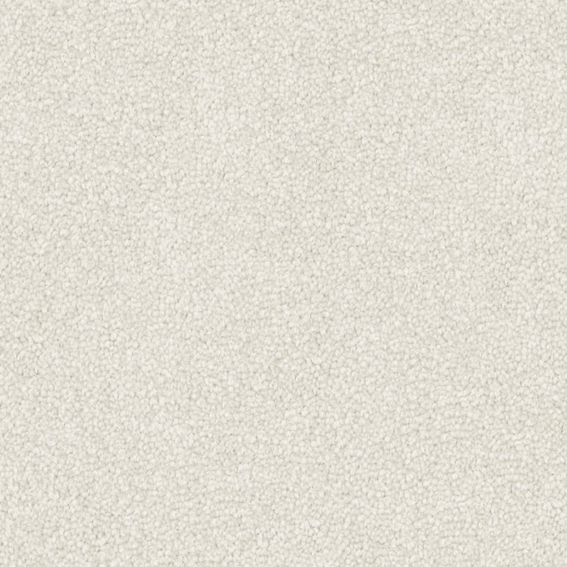 Nightfall in White Sand - Carpet flooring sample