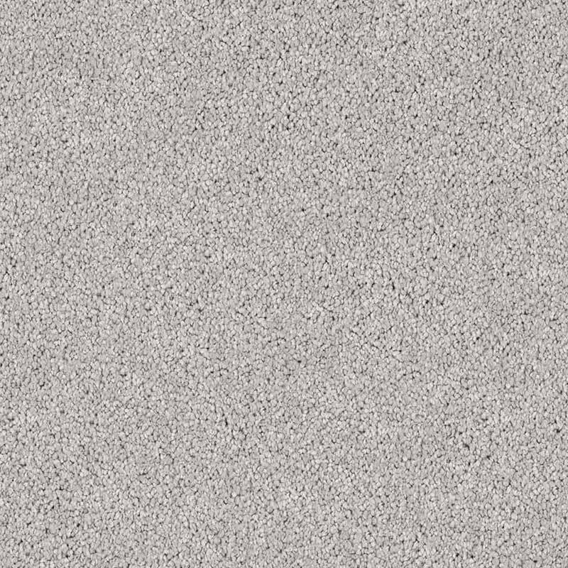 Regal Elegance in Silver Cloud - Carpet flooring sample