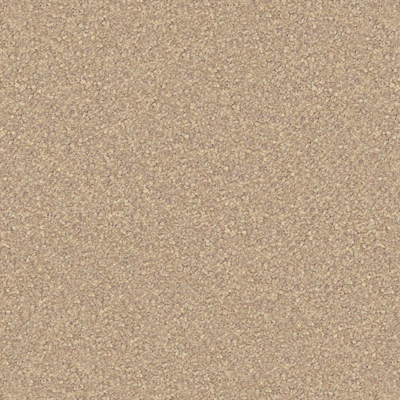 Scenic View in Flannel Flower - Carpet flooring sample