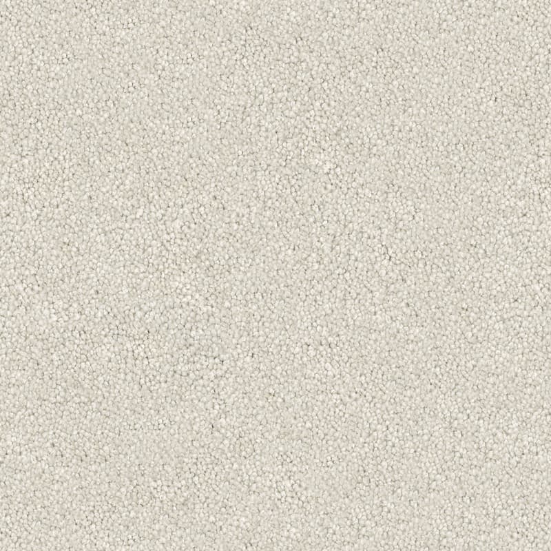 Velura in Bare Canvas - Carpet flooring sample