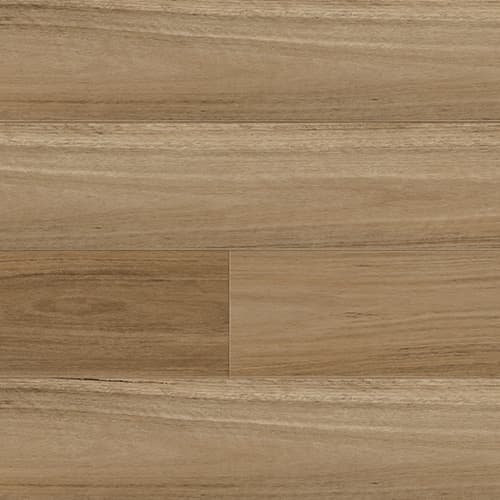 Northern Blackbutt