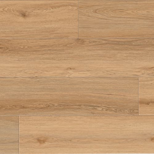 Sahara